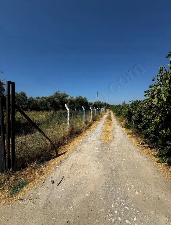 Kemalpaşa 8 Eylülde 1000 M² Bahçe | Merkeze & İmara 1 Km | Yatı 1