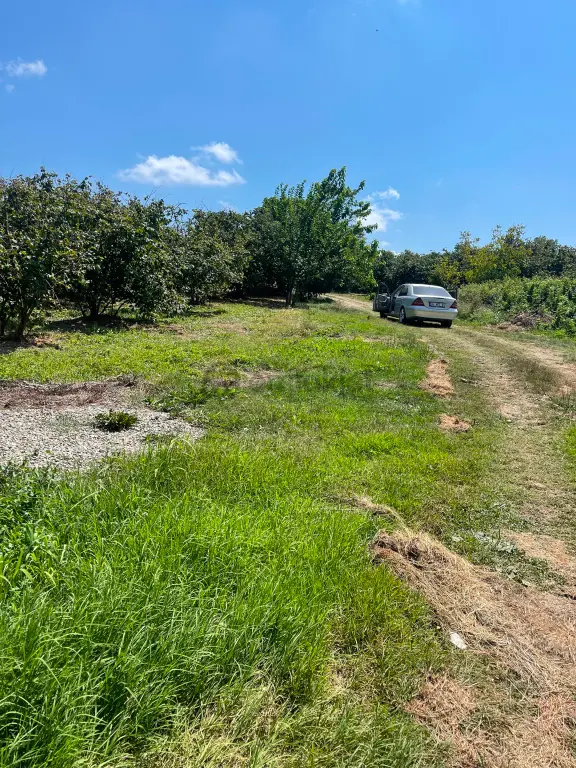 Ferizli Nalköy’de 285m2 İmarlı Arsa 2