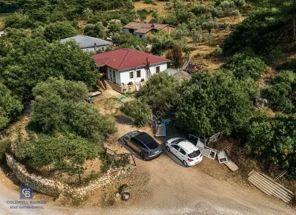 Urla Torosanda Denize 1.4 Km | Çam Ormanına Komşu 5.000 M² 1