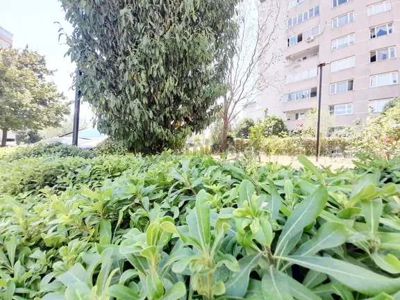 Beylikdüzü Yakuplu Marmara Da Gelişim Sitesinde 3+1 145 M2 Kiralık Daire 1