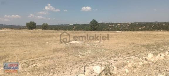 Aydıncık Emlaktan Satılık Tarla 16.165m2 1
