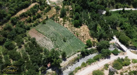 Onay Emlak' Tan Tek Tapu Satılık 1.569 M2 Hobi Bahçesi 2