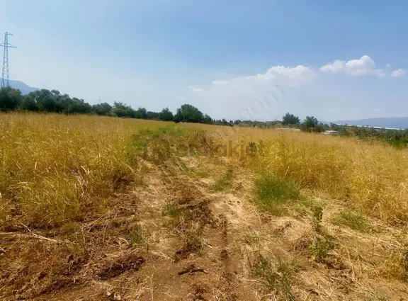 Asfalt Yol Cepheli 7.200 Mk Elektrik Suyu Olan Tarla 1