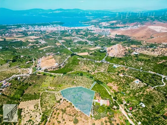Sığacık Akarca Yoluna Komşu 16.826m² Satılık Narenciye Bahçesi 1