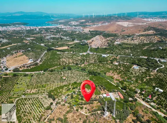 Sığacık Akarca Yoluna Komşu 16.826m² Satılık Narenciye Bahçesi 2