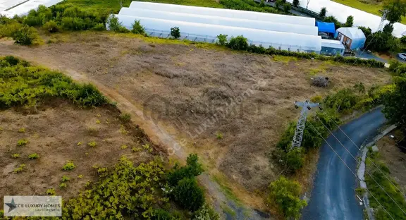 Beykoz Paşamandıra'da Kiralık 2.890 M² Tarla 1