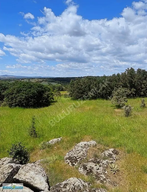 Çeşmeköyde Satılık Uygun Fiyatlı Tarla 2