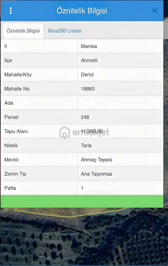 Nova'dan Ahmetli Derici De Satılık Zeytinlik (hobi Bahçesi) 1