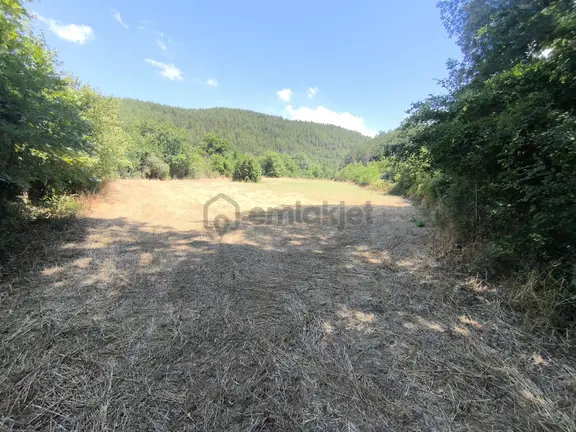 Balya Kaya Emlak.balya Müstecap Mahallesi 5700 M2 Tarla 2
