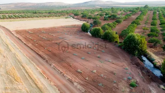 Oğuzeli Nova Gayrimenkul'den Altınyurtda Tek Tapu Yatırımlık Yer 2