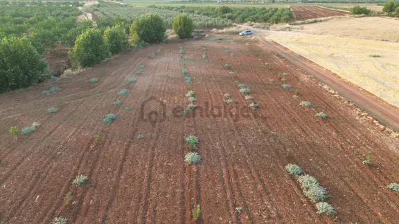 Oğuzeli Nova Gayrimenkul'den Altınyurtda Tek Tapu Yatırımlık Yer 2