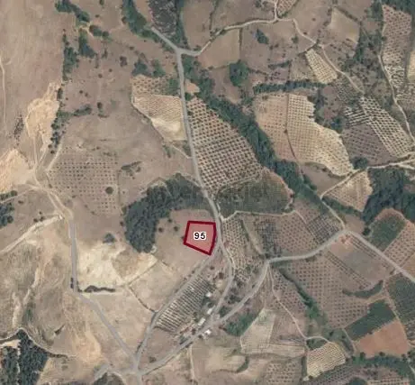 Bursa İznik Alakayada 3.000 M² Satılık Tarla 2