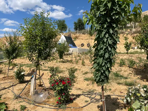 Arkadaş Emlaktan Çoruma Çok Yakın Hayalinizdeki Satılık Hobi Bahçesi 2