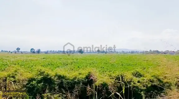 Adapazarı Taşlık Mah. Merkeze Yakın, Hızla Değerlenen Bölgede 2