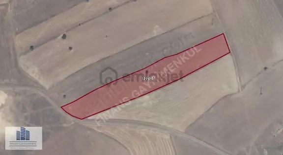 Finans Gayrimenkul'den Bademkayada Yatırımlık 10.684 M2 Tarla 1