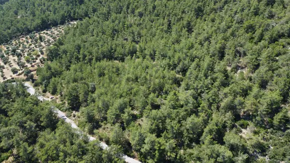 Bodrum Yalıçiftlikte 15.268 M² | 160 Metre Yol Cepheli 2