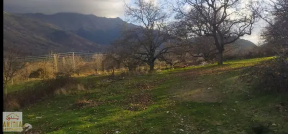 Ödemiş Tekke'de 4592 M2 Ana Yola Çok Yakın Arazi 2