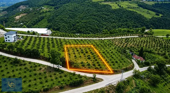 Canik Kaşyayla Yola Cephe Köy İçi Ev Yapılabilir 1349 Tarla 2