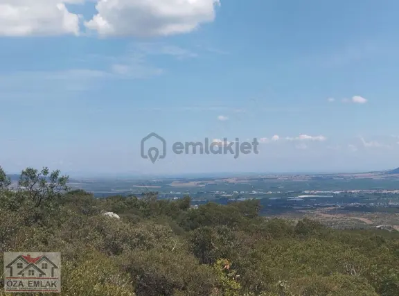 Öza Emlaktan Satılık Yörük Keçidere Mah. Tarla (fidanlık) 2