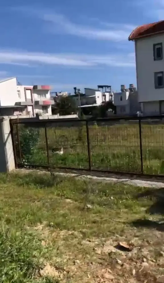 Serik Kokezde 0.90 Emsal Fırsat Arsa 2