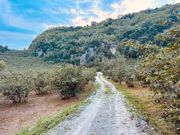 Trabzon Ortahisar Çukurcayır Mah.satılık Villa Arsası 2