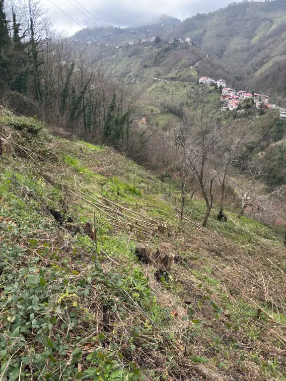 2 Ayrı Villa Yapımına Uygun Arazi 2