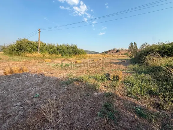 Meşelikte Yola Sıfır 11.679 M² Kiralık Tarla 2