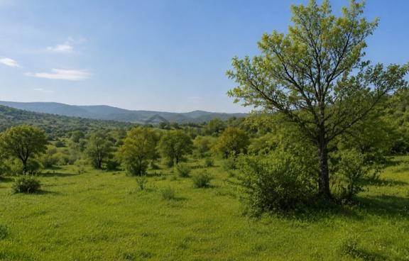 Kadastro Yola Cephe Tüm Projelere Uygun Yatırımlık Harika 5944m2 1