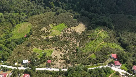 Lerox Uçar'dan Salıpazarı Kuşcuğaz Mahallesı’nde Satılık Fındık Bahçesi 1