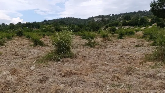 Aydın'dan Gülnar Hacıplnar Mh Fırsat Acil Satılık Tarla 4.875.91 M² 1