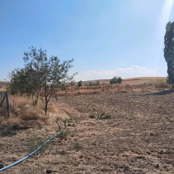 Century21 Vizyon'dan Satılık Müstakil Tapulu 1550 M2hobi Bahçesi 2