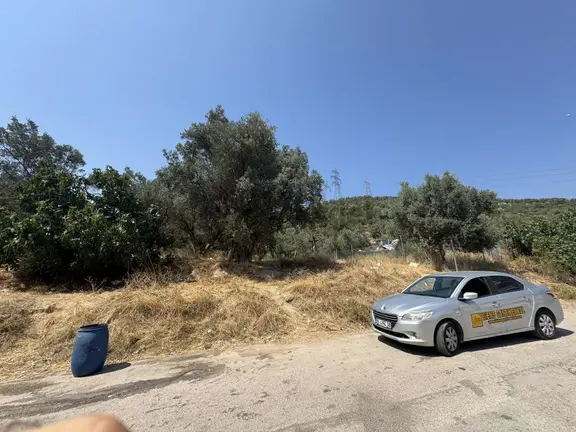 Bienden'den Demirtaş Barbaros Mahallesi İmara Yakın Tarla 2