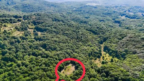 Acil! Şile Karabeylide Fırsat Fiyatlı 2269 M² Tarla! 1