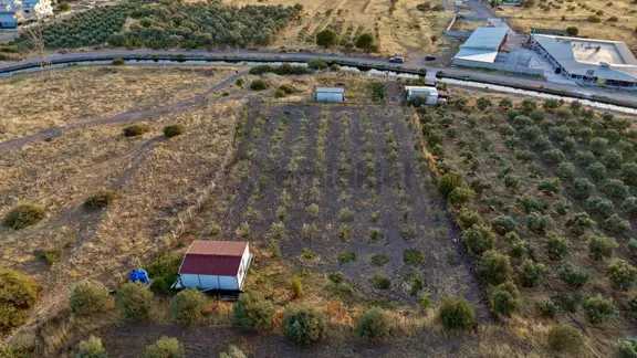 Dikili Bahçeliköyde 2.747m2 Konteynerli Tarla 1