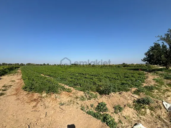 Tc Emlaktan Satılık ​yaklasık 10.500 M2 2