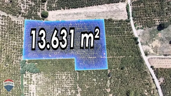 Söğütlü Yeniköyde Osbye Yakın,tamamen Düz 13.631m² Satılık Arazi 2