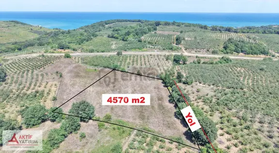 Deniz Manzaralı Resmi Yollu 4570 M2 Kare Yüksek Konumda Tarla 2