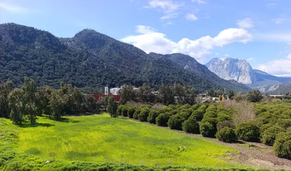 Eşyalı, Havuzlu, Doğa Manzaralı Masrafsız 3+1 Satılık Daire 1