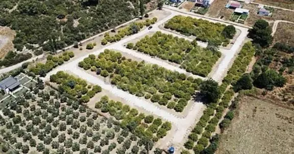 Çilede Kooperatif Hisseli 260m2 Merkzi Konumda Köşe Parsel