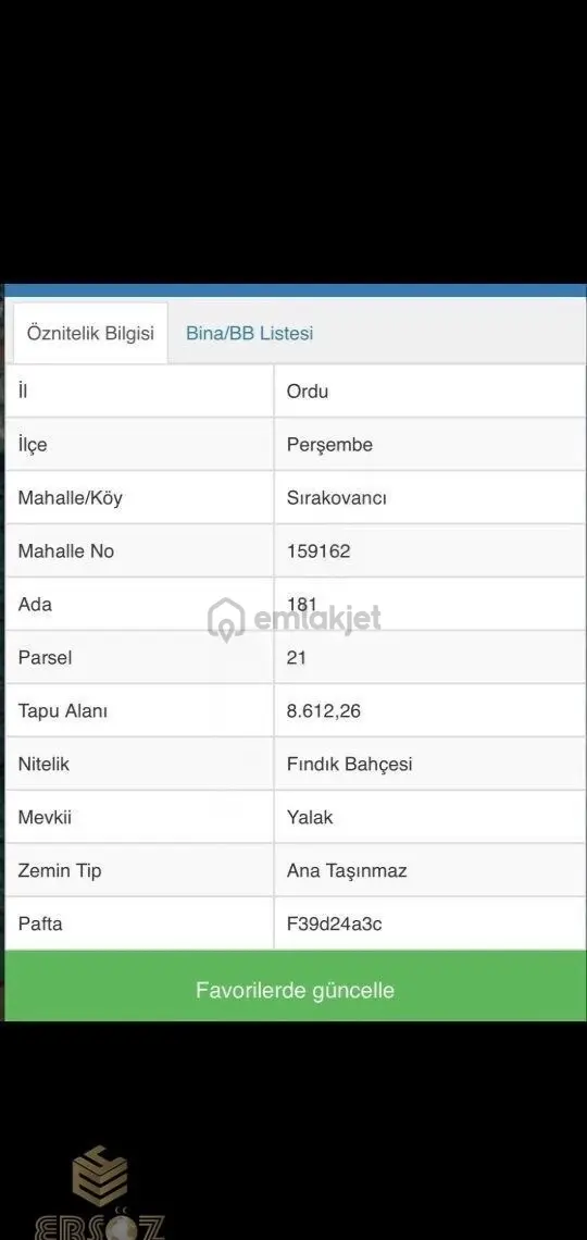 Ordu Perşembe Satılık Tek Tapu Fındık Bahçesi 2