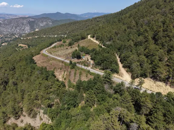 Emlakevim - Bilecik Gölpazarında 450 M2 Asfalt Cepheli Arsa !! 2