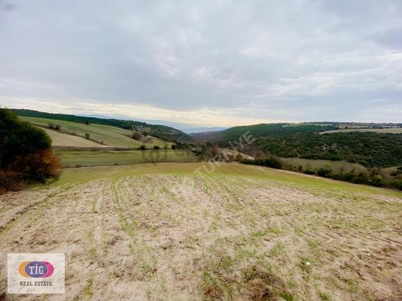Susurluk Günaydında 11.753 M² Tek Parça Yatırımlık Tarla 1