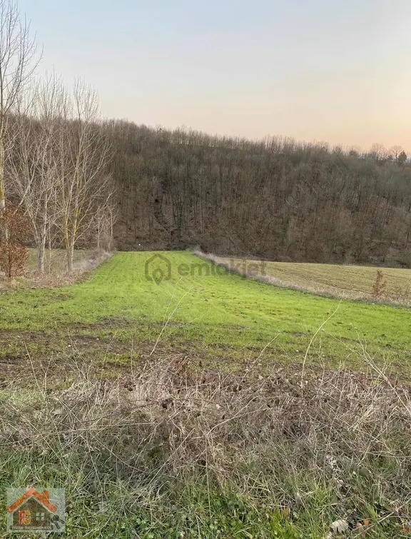 Kocaeli Karamürsel Çamdıbı Köyünde Satılık Tarla 2