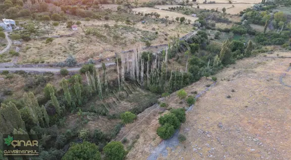 Büyük Bürüngüz De 3.466 M2 Mükemmel Konumlu Bahçe 2