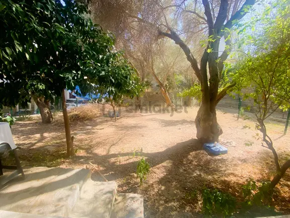 Dadya Emlak'tan Sürekli Kiralık 2+1 Eşyalı Bahçe Katı Daire 2