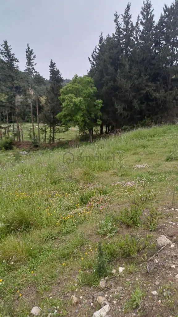 Adrasan Yeşilköyde Sahibinden Acilen Satılık Kelepir Müstakil Tapulu Arsa 2