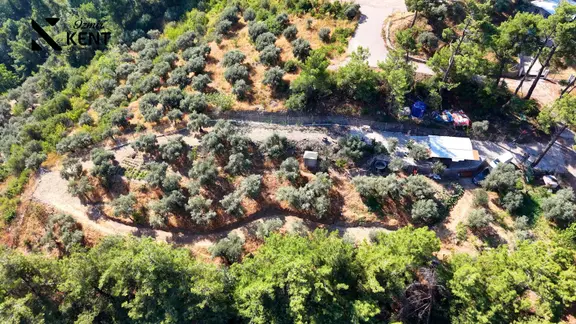 Kemalpaşa Yukarıkızılca Satılık 1.350 M2 Bahçe + Ev | Tek Tapu 1