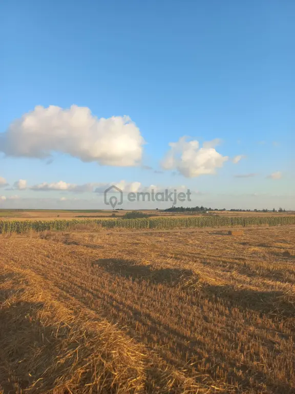 Tekirdağ Saray Yuvalı Mahallesin De Yatırımlık Fırsat Tarla 1