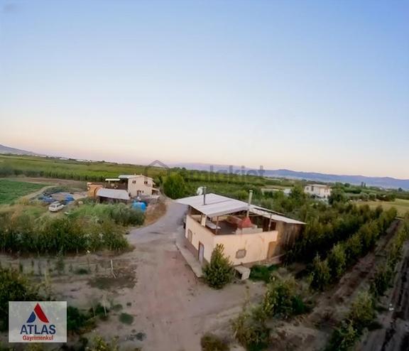 Turgutlu 8.mıntıka Bostanlık Mevkisinde Satılık Armut Bahçesi 1