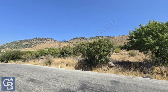 Karakuzu 11 Hisseli Hayvancılığa Uygun Satılık 13.8 Dönüm Tarla 1